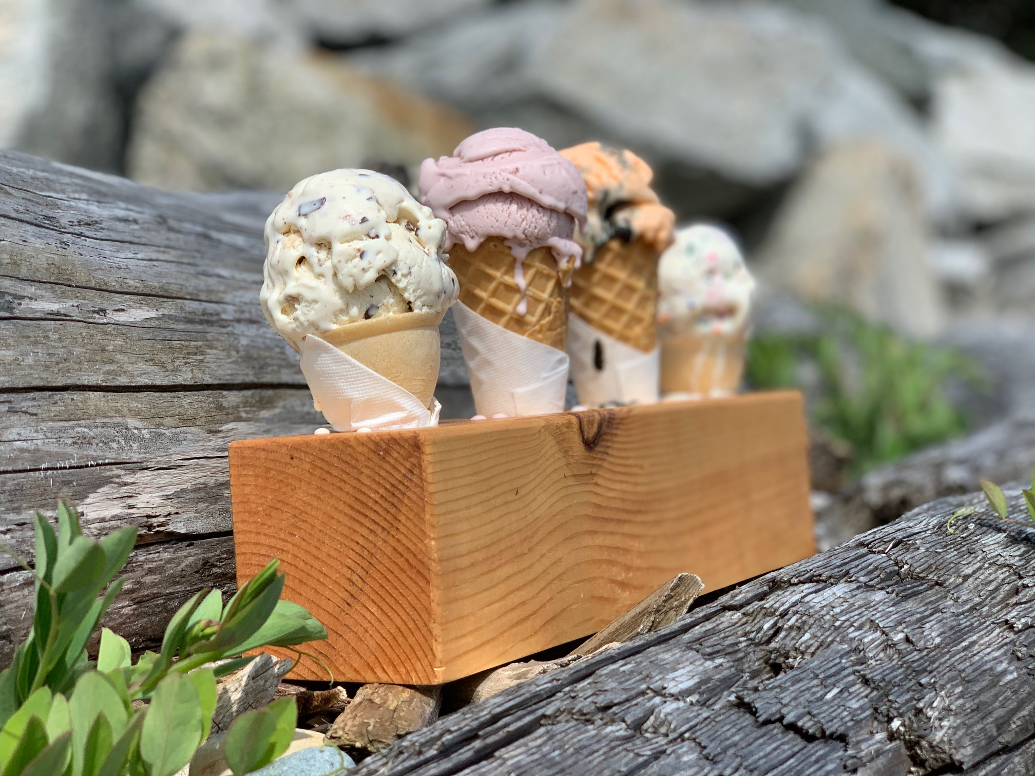four ice cream cones set in a wooden block on a log